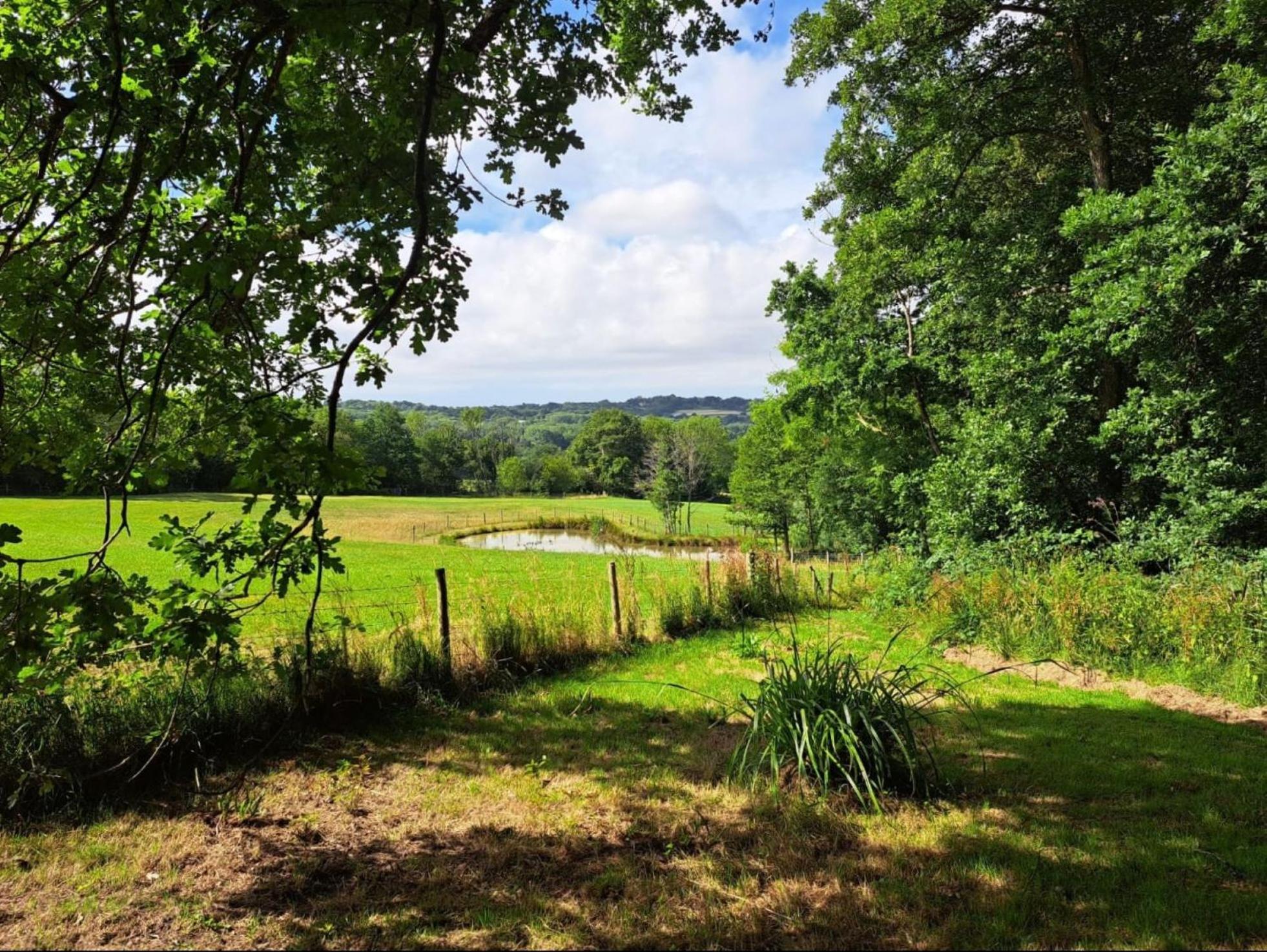 Snug & Secluded Lakeside Shepherds Hut 'Carp' Uckfield Esterno foto