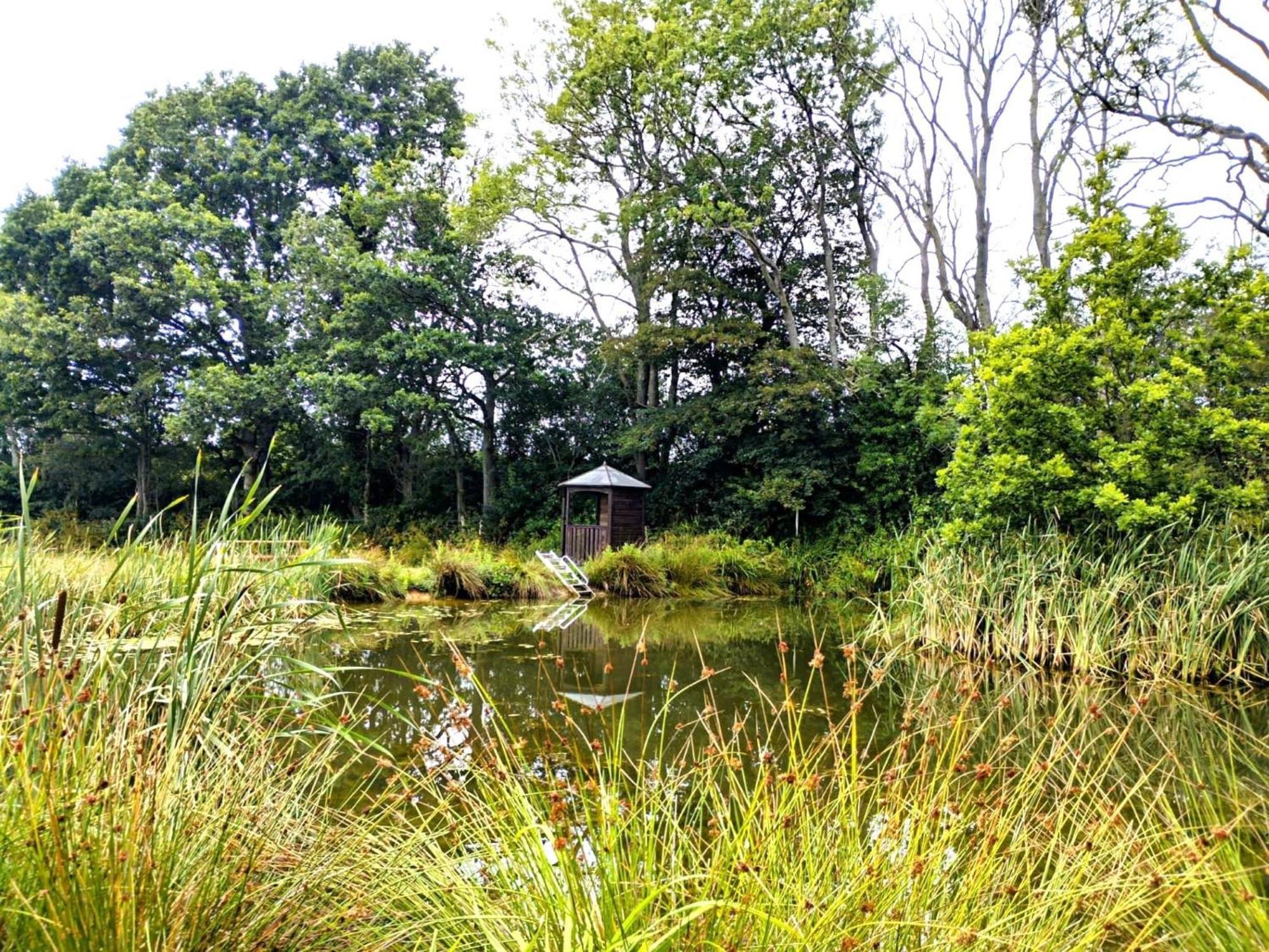 Snug & Secluded Lakeside Shepherds Hut 'Carp' Uckfield Esterno foto