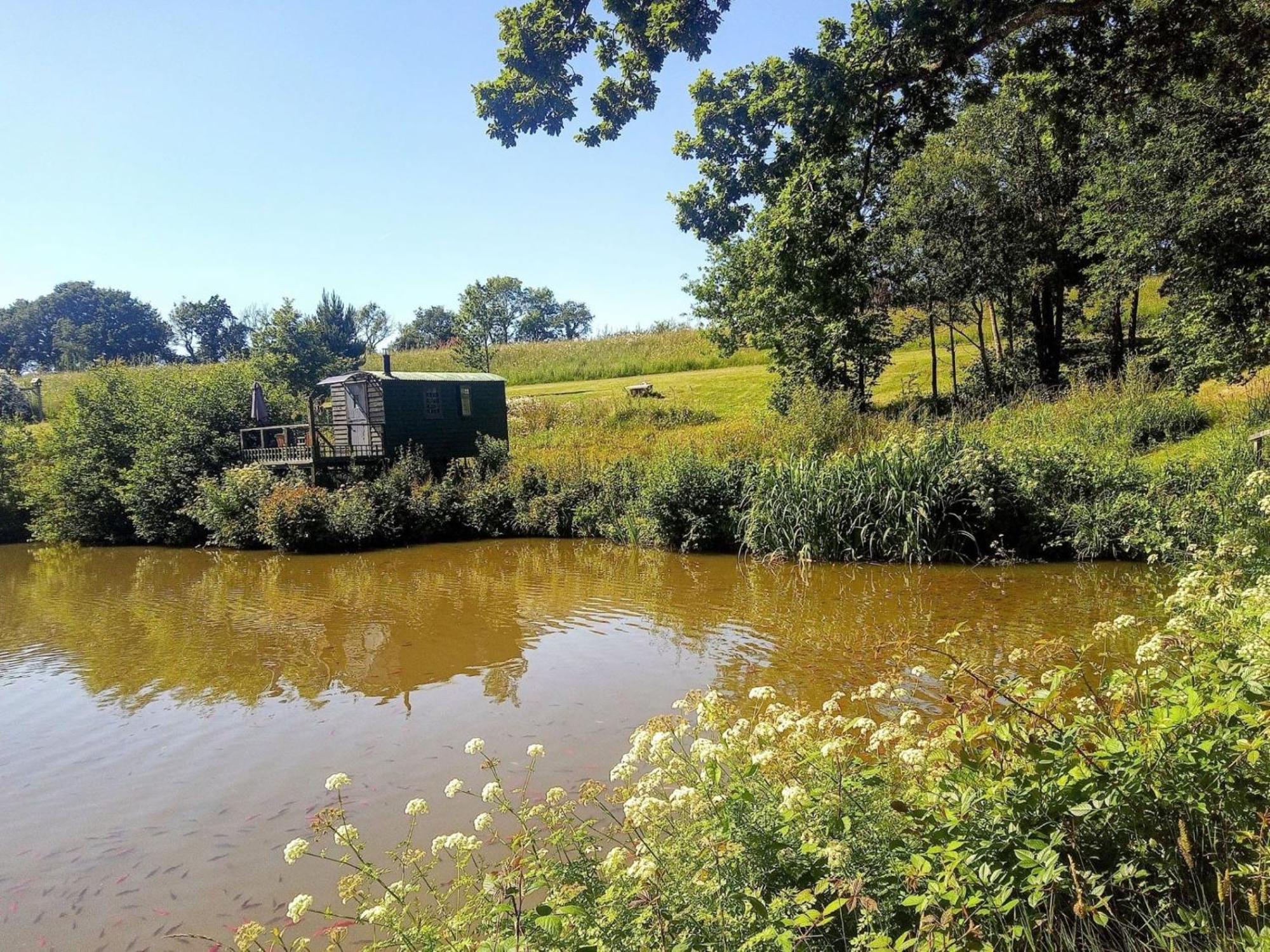 Snug & Secluded Lakeside Shepherds Hut 'Carp' Uckfield Esterno foto